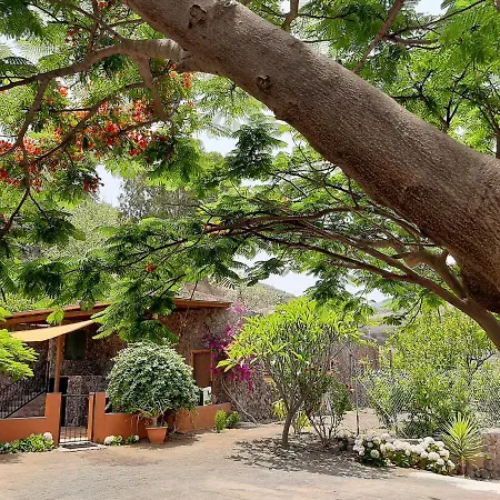 Nyaraló Peaceful House Set On A Vineyard & Work Friendly