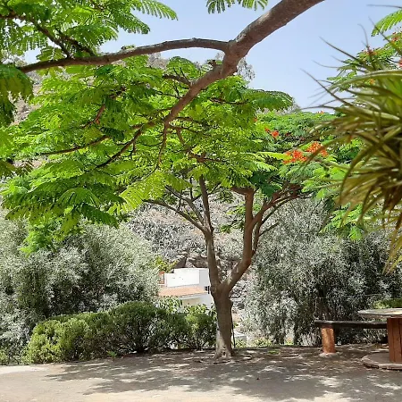 Peaceful House Set On A Vineyard & Work Friendly * Valsequillo